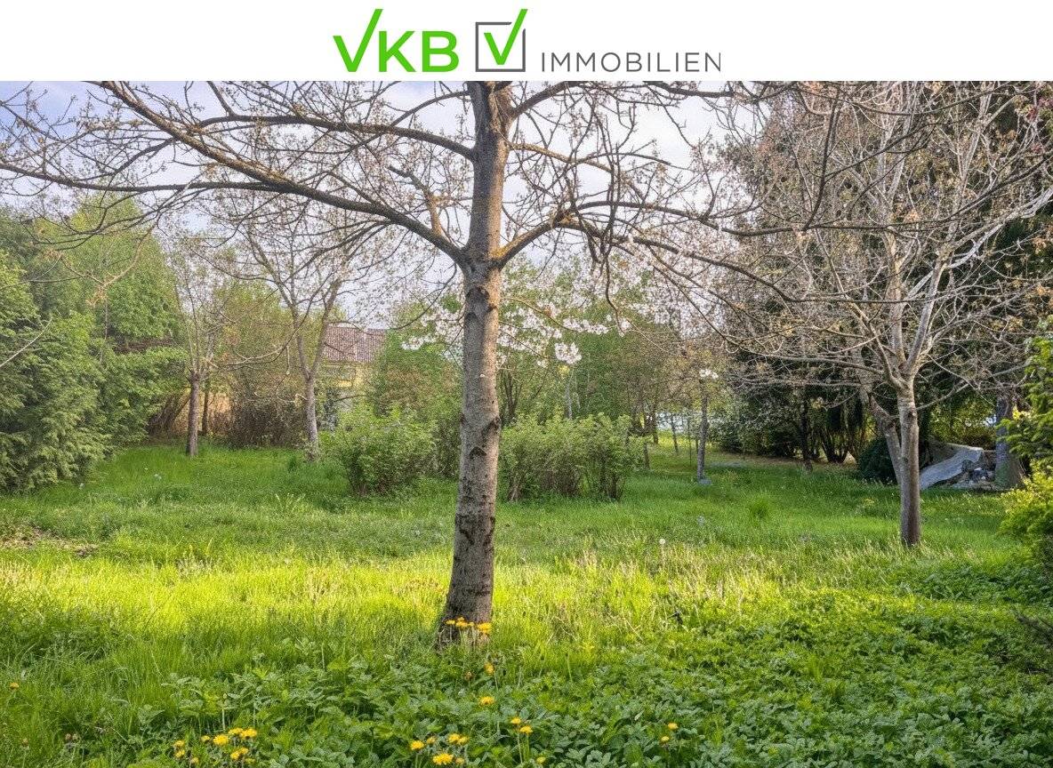 Großzügiges Grundstück nähe Gallneukirchen! - Gemeinde Alberndorf in der Riedmark (GST  2443/1)