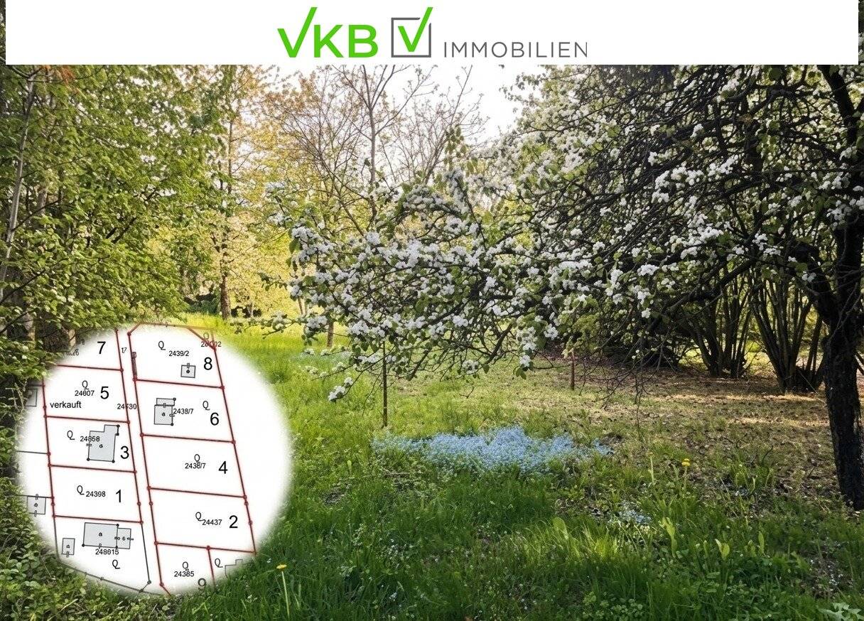 Großzügiges Grundstück nähe Gallneukirchen! - Gemeinde Alberndorf in der Riedmark (GST  2443/1)