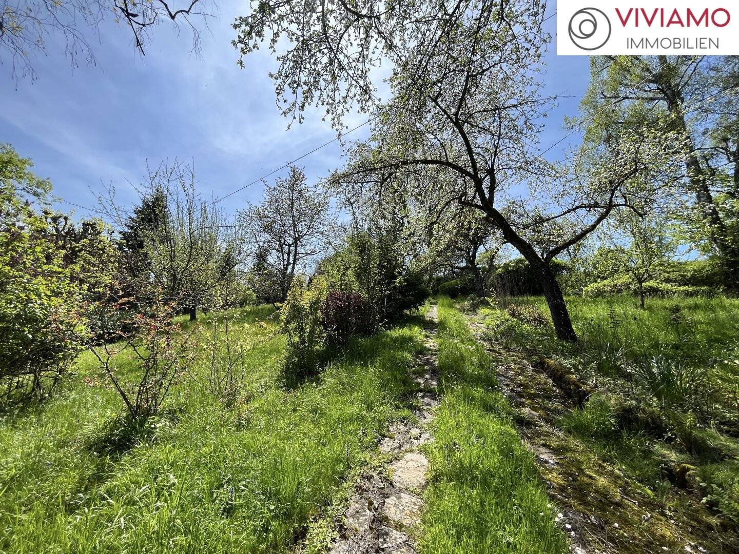 Building plot: 4400 Garsten in a sought-after location with old stock without building obligation
