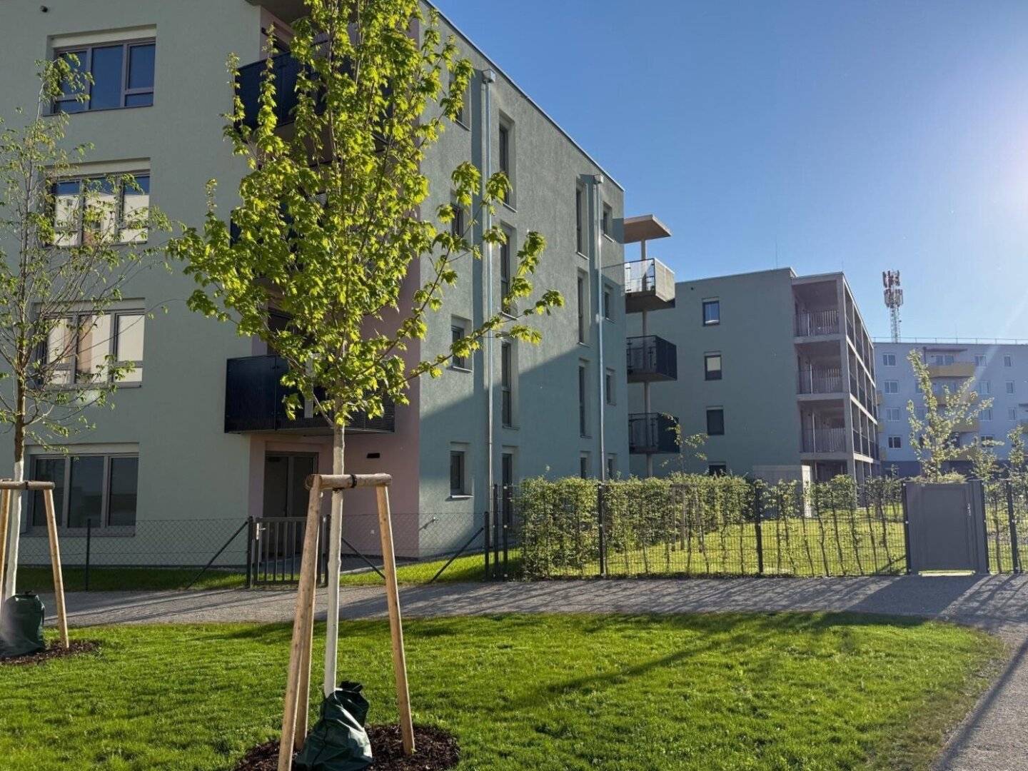 ERSTBEZUG "ein viertel grün" in Wiener Neustadt - 31 geförderte Eigentumswohnungen