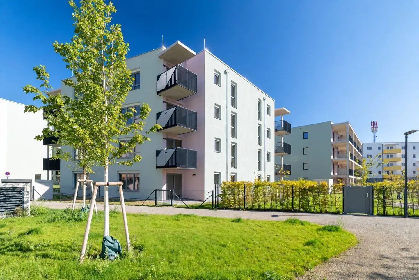 First occupancy ein viertel grün in Wiener Neustadt, 31 subsidized owner occupied apartments
