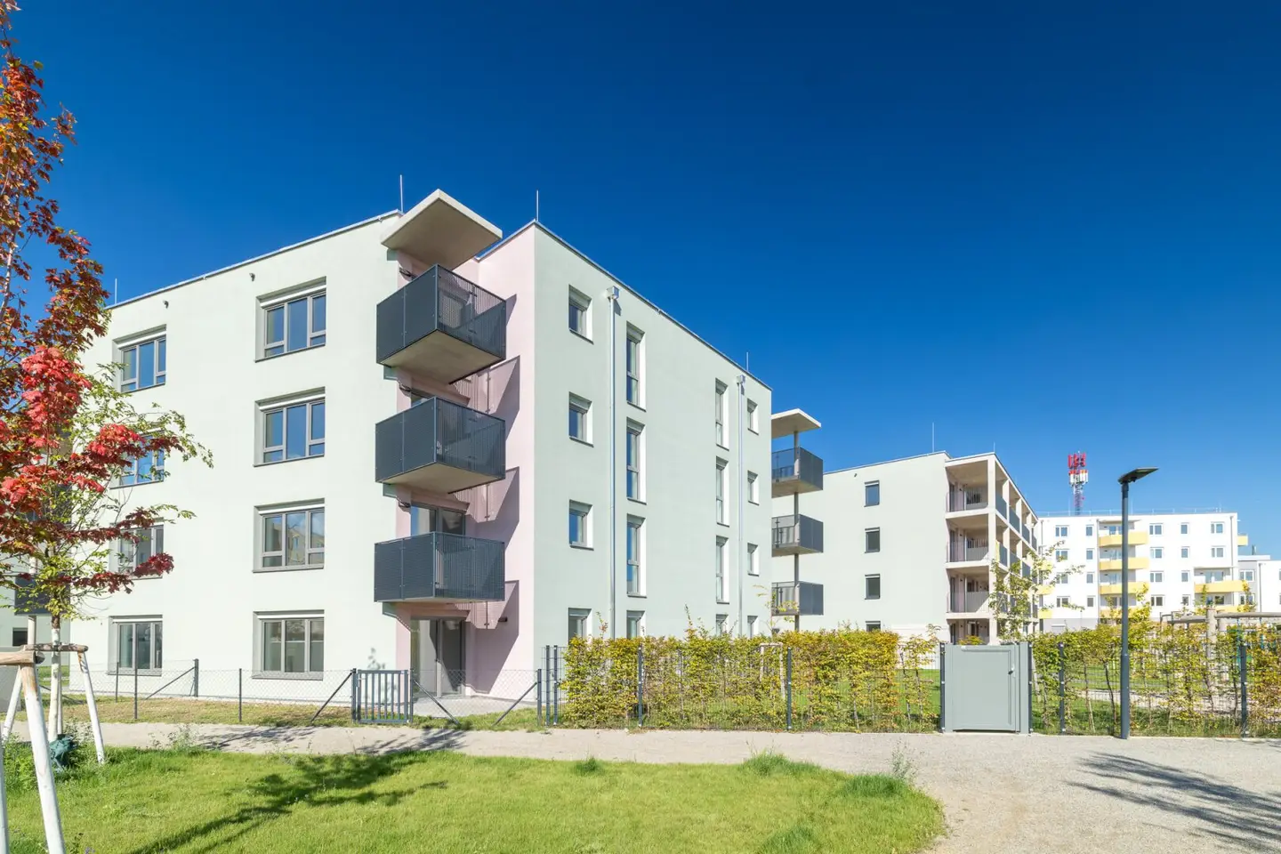 ERSTBEZUG "ein viertel grün" in Wiener Neustadt - 31 geförderte Eigentumswohnungen