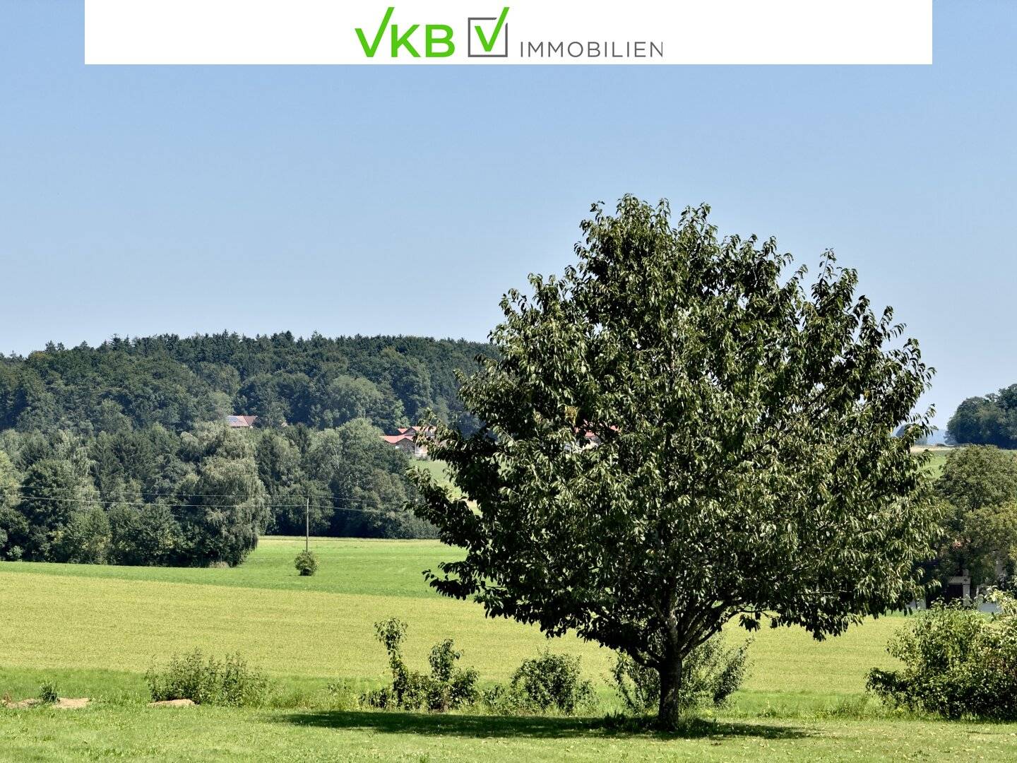 OSTERMIETHING | GUMPLING: Your future farming experience in the green countryside! Plenty of space for visions in a dream location!