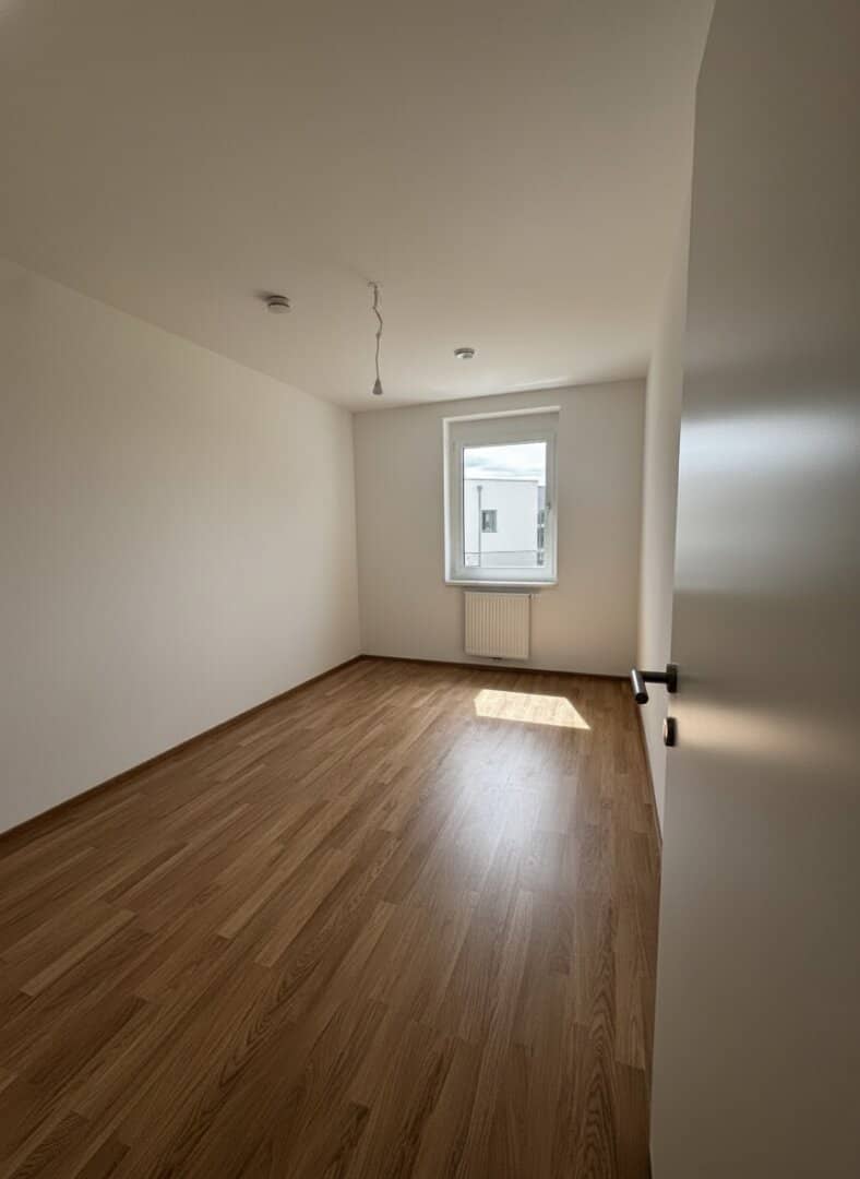 Zimmer_2