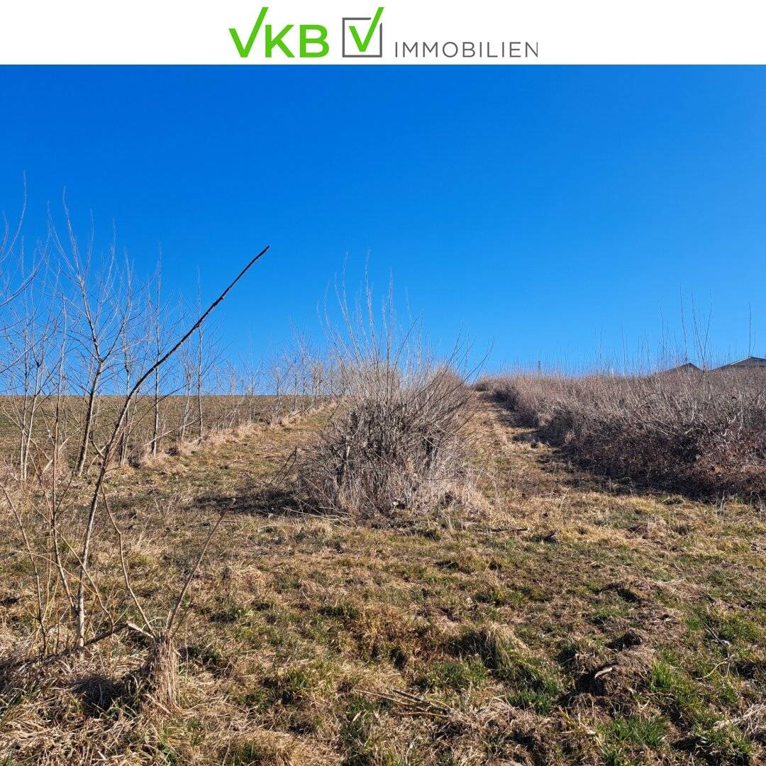 Exklusives Weinbaugrundstück, Südhang in sonniger Lage!