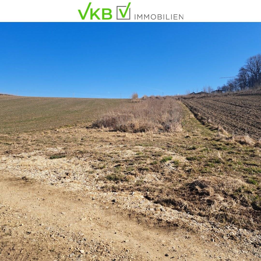 Exklusives Weinbaugrundstück, Südhang in sonniger Lage!
