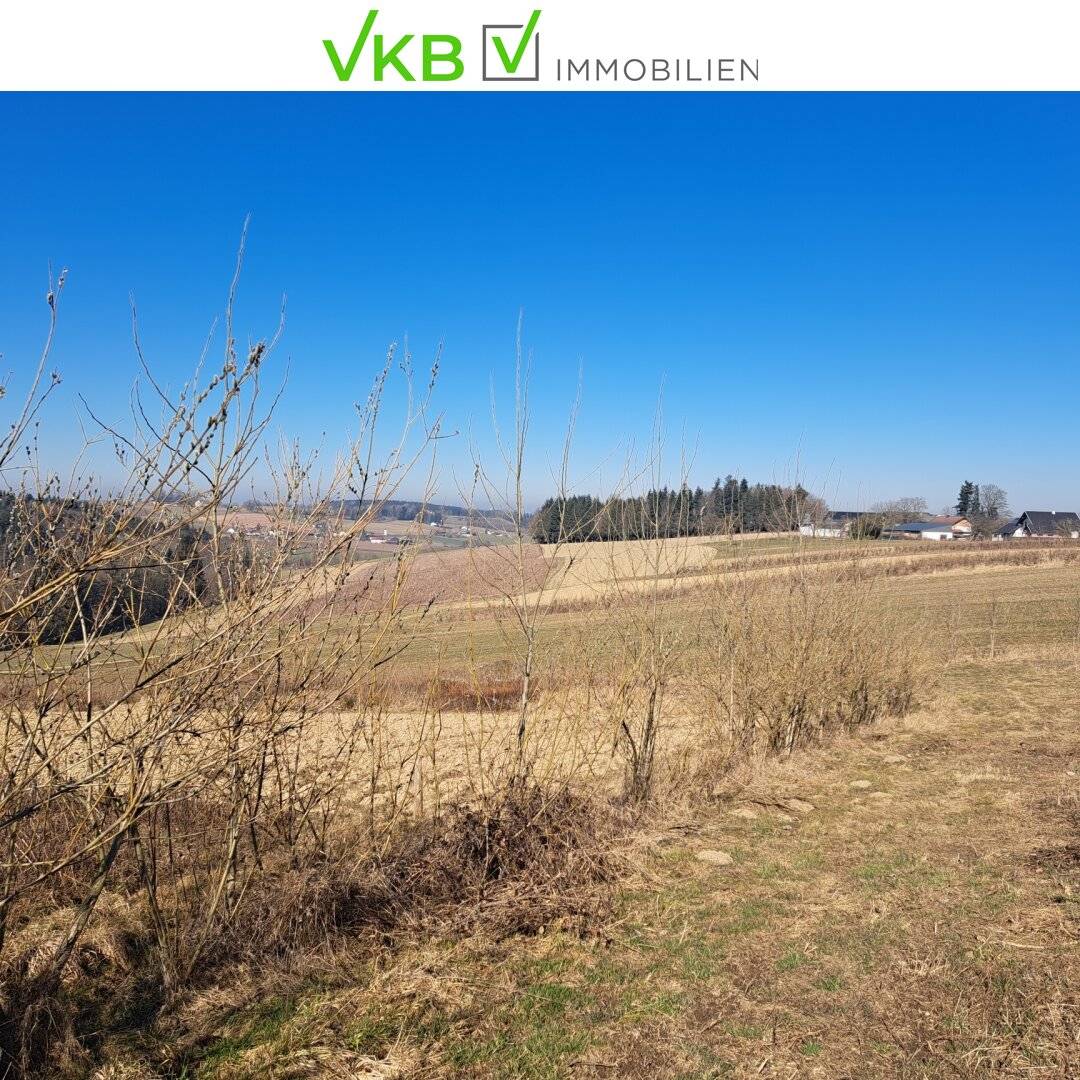 Exklusives Weinbaugrundstück, Südhang in sonniger Lage!