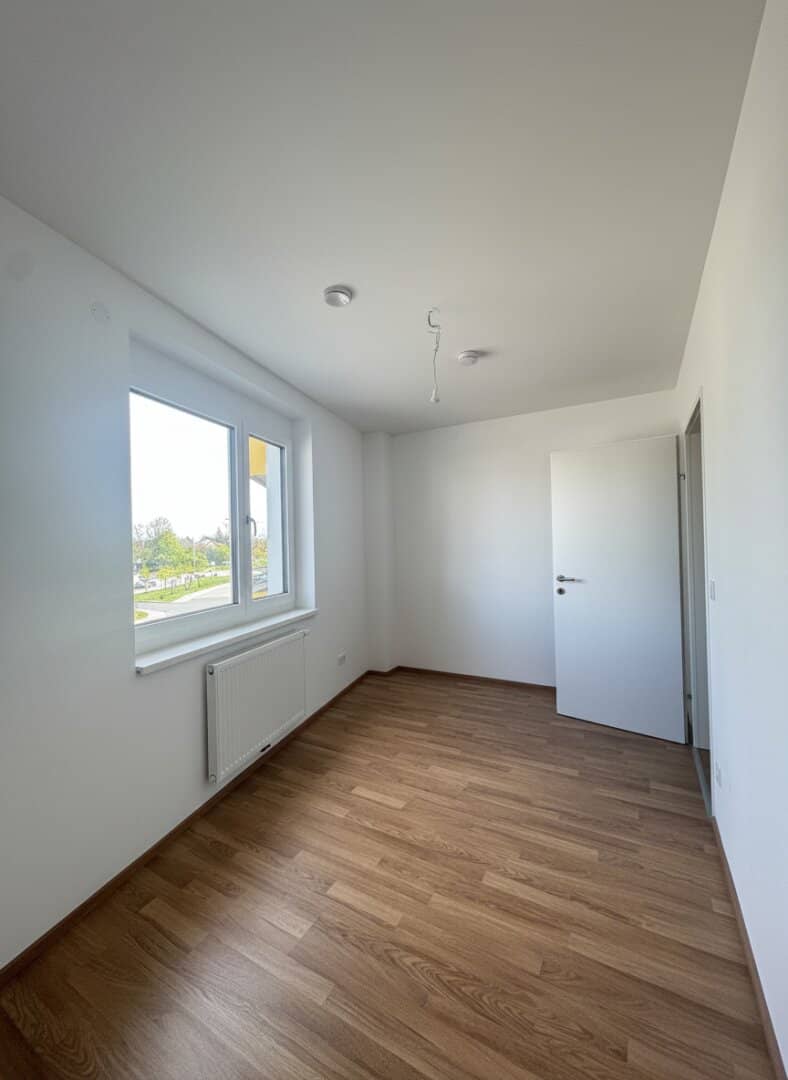 Zimmer_1
