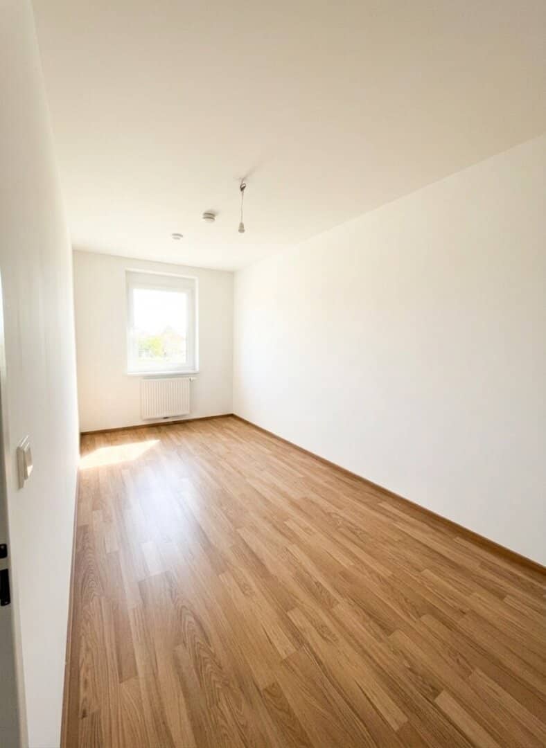 Zimmer_1_1