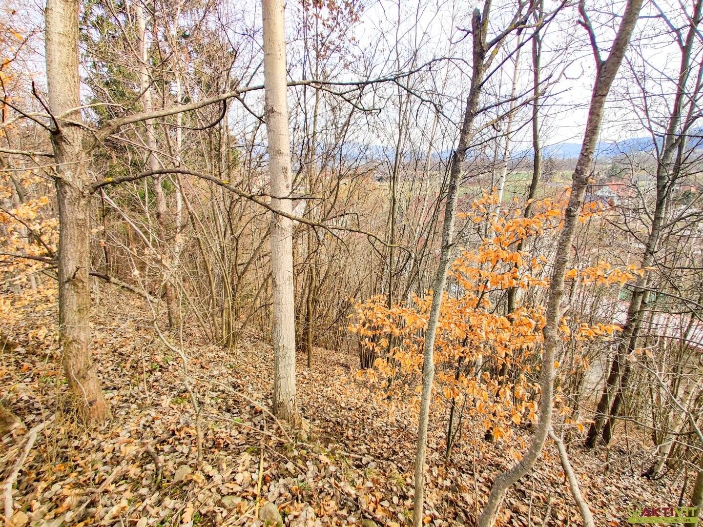 Großzügiges Baugrundstück mit Potenzial. - Verkauf auch in Teilflächen möglich und bis zu 1.450 m² Bruttogeschoßfläche realisierbar.