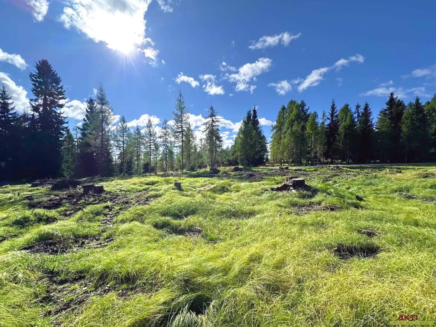Großzügiges Grundstück im reinen Kurgebiet in Albeck - Region Hochrindl.