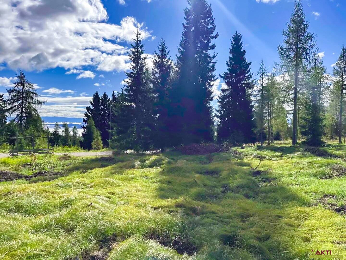 Großzügiges Grundstück im reinen Kurgebiet in Albeck - Region Hochrindl.