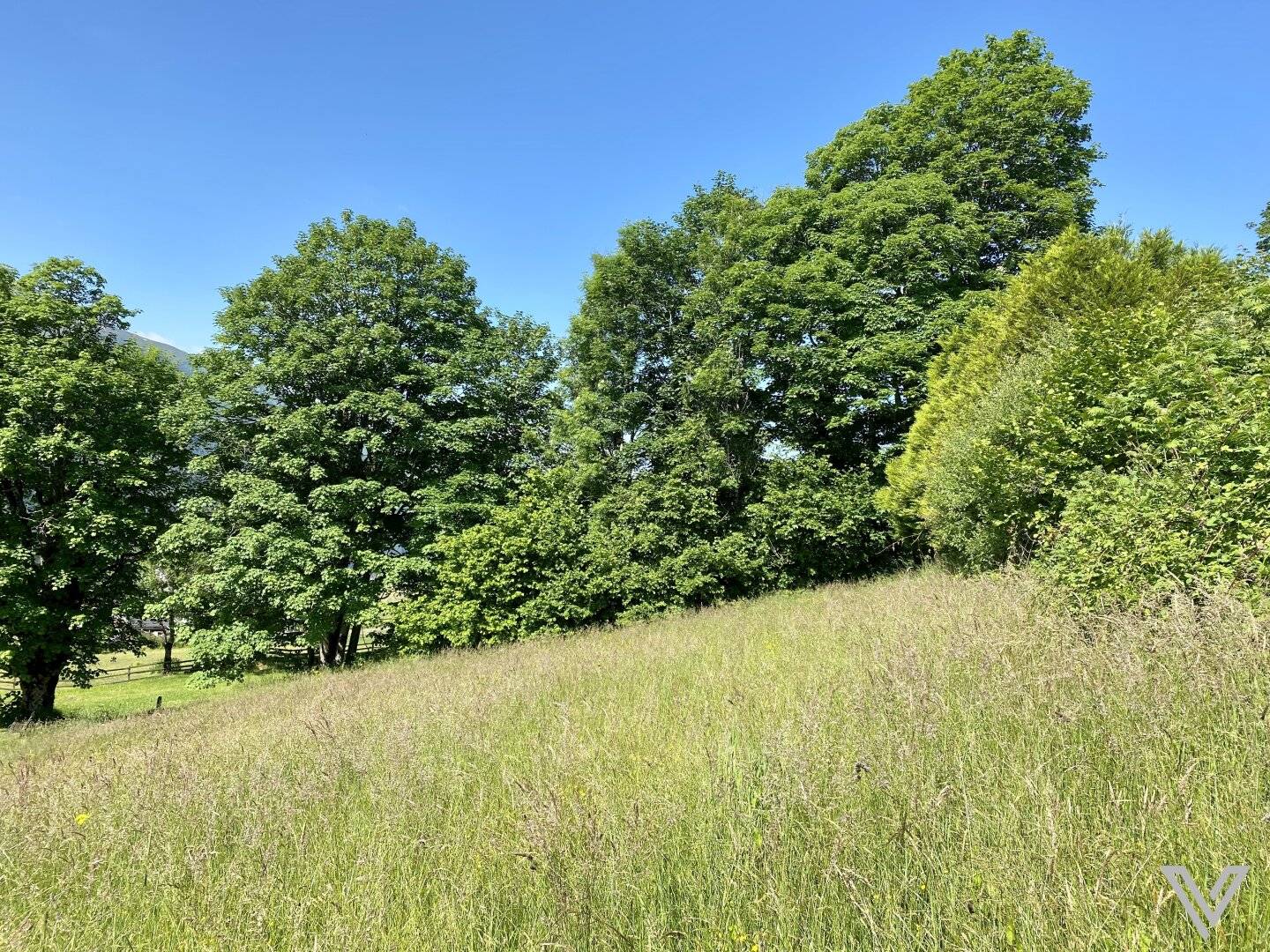 Grundstück in sonniger Traumlage