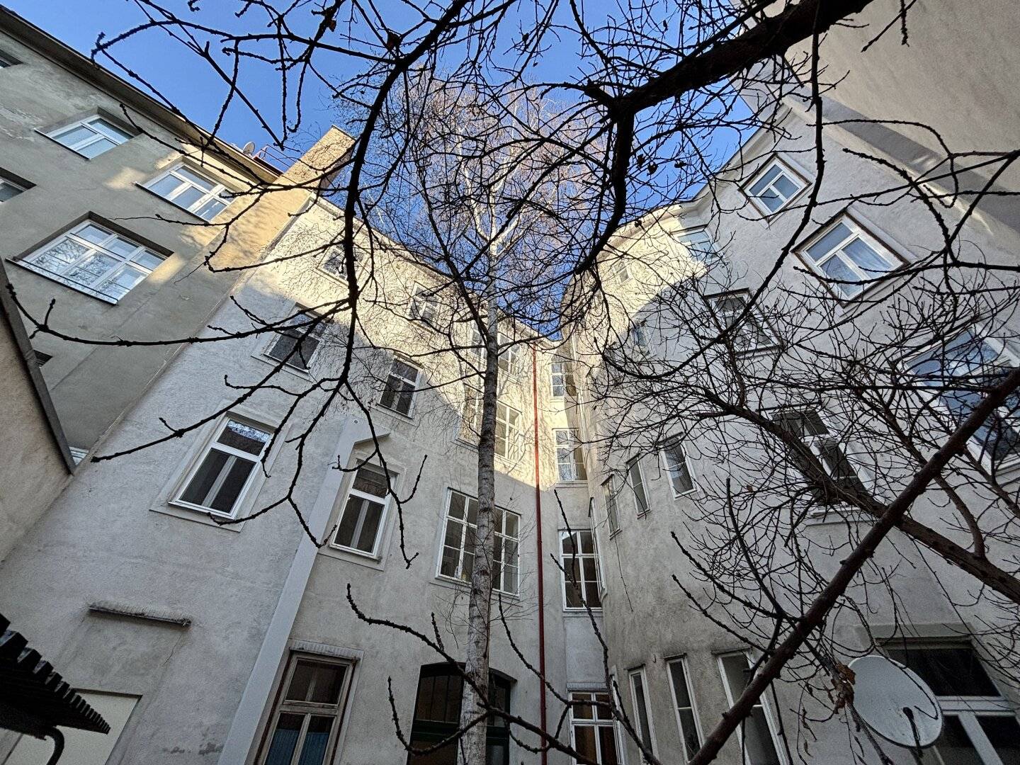 ROHDACHBODEN - RAUM FÜR VISIONEN ÜBER DEN DÄCHERN DES ALSERGRUNDS