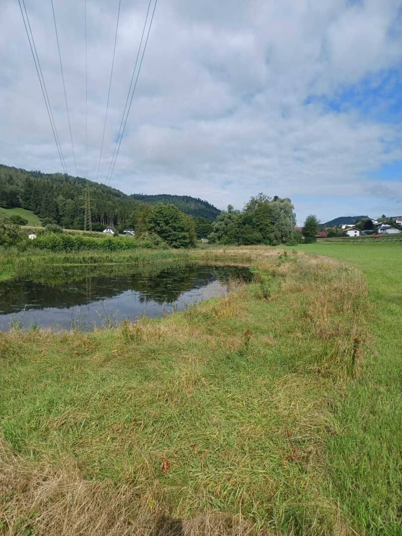 Schönes, ebenes Grundstück zur Freizeitgestaltung mit großem Teich, PROVISIONSFREI - ca. 14.170 m²
