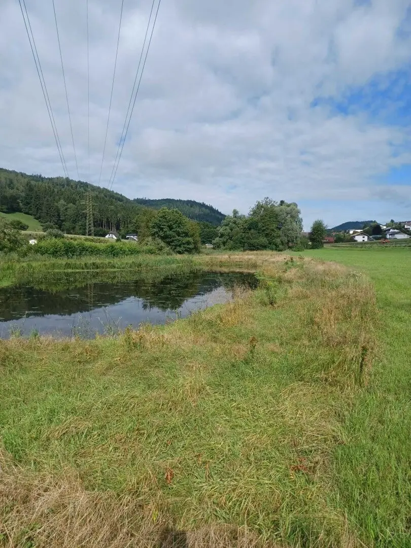 Beautiful, flat plot for leisure activities with a large pond commission free approximately 14,170 m²