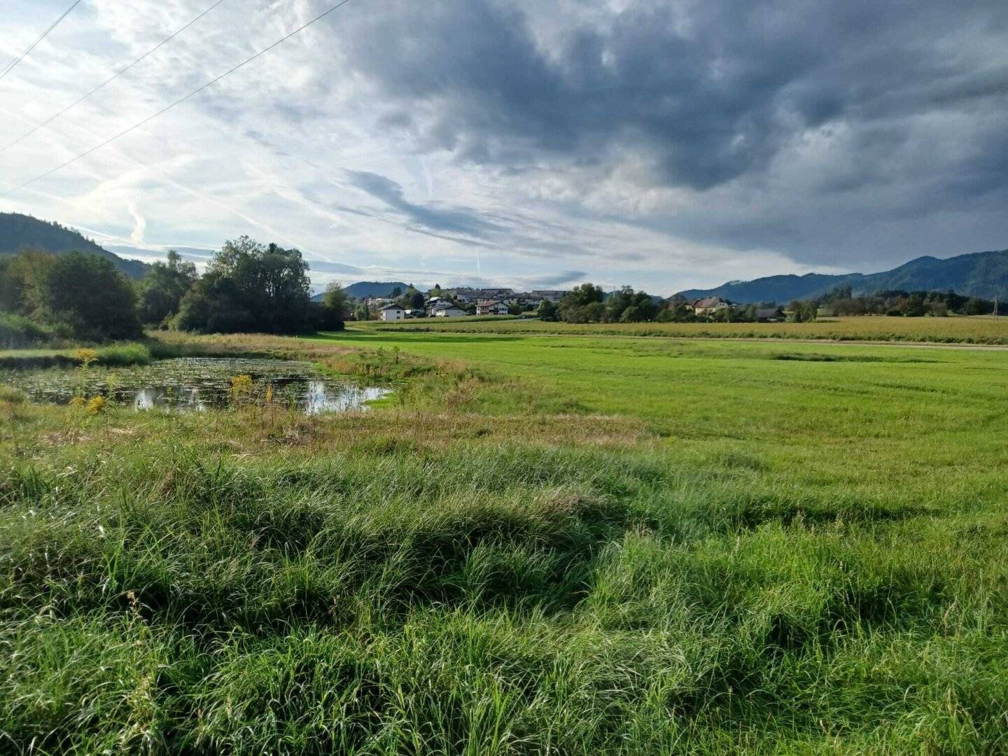 Schönes, ebenes Grundstück zur Freizeitgestaltung mit großem Teich, PROVISIONSFREI - ca. 14.170 m²