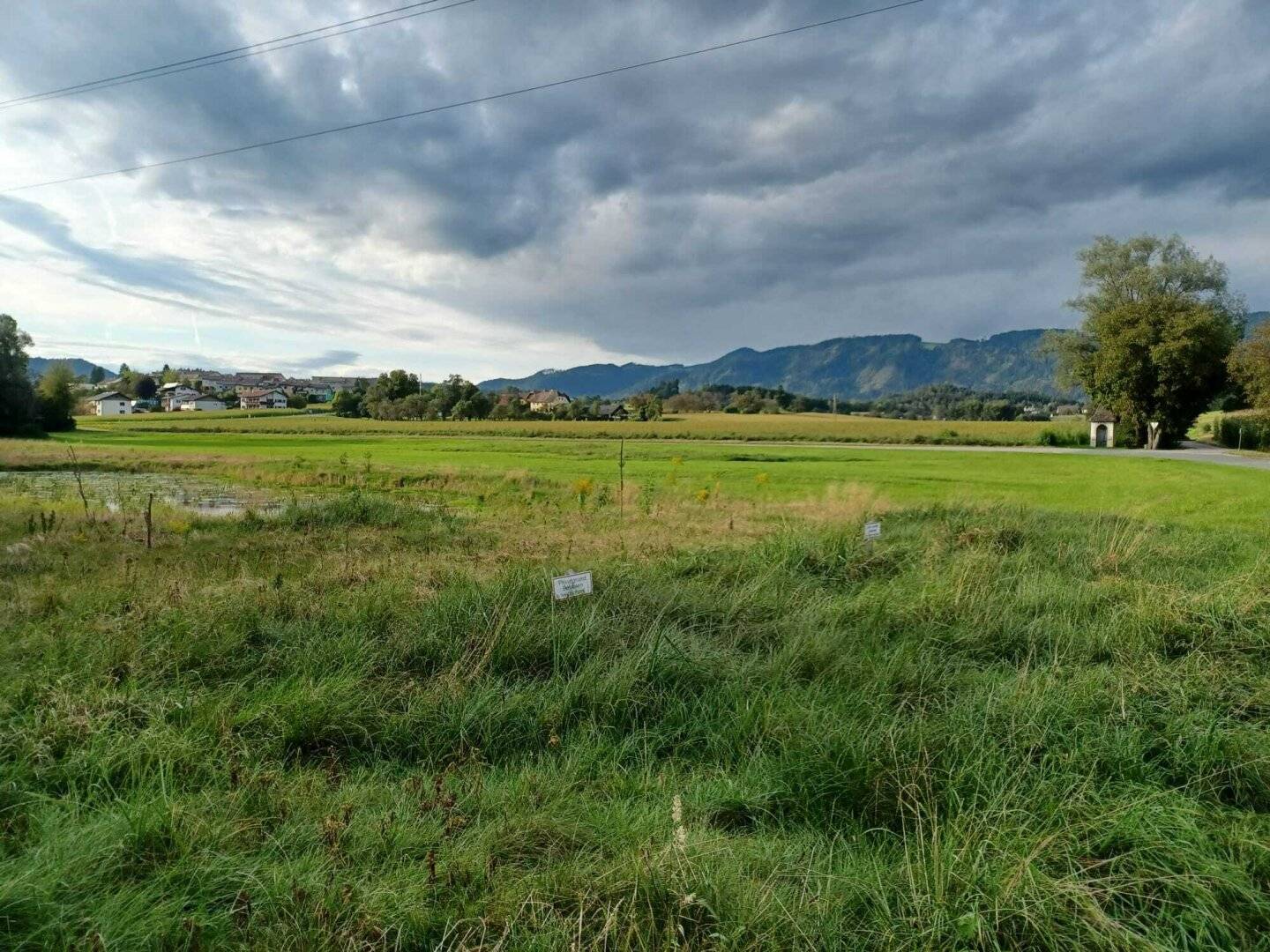 Schönes, ebenes Grundstück zur Freizeitgestaltung mit großem Teich, PROVISIONSFREI - ca. 14.170 m²