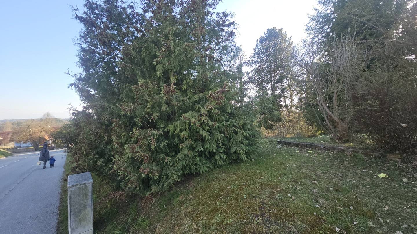 Building plot 1,309 m² for semi-detached or row house in the center of Kumberg near Graz
