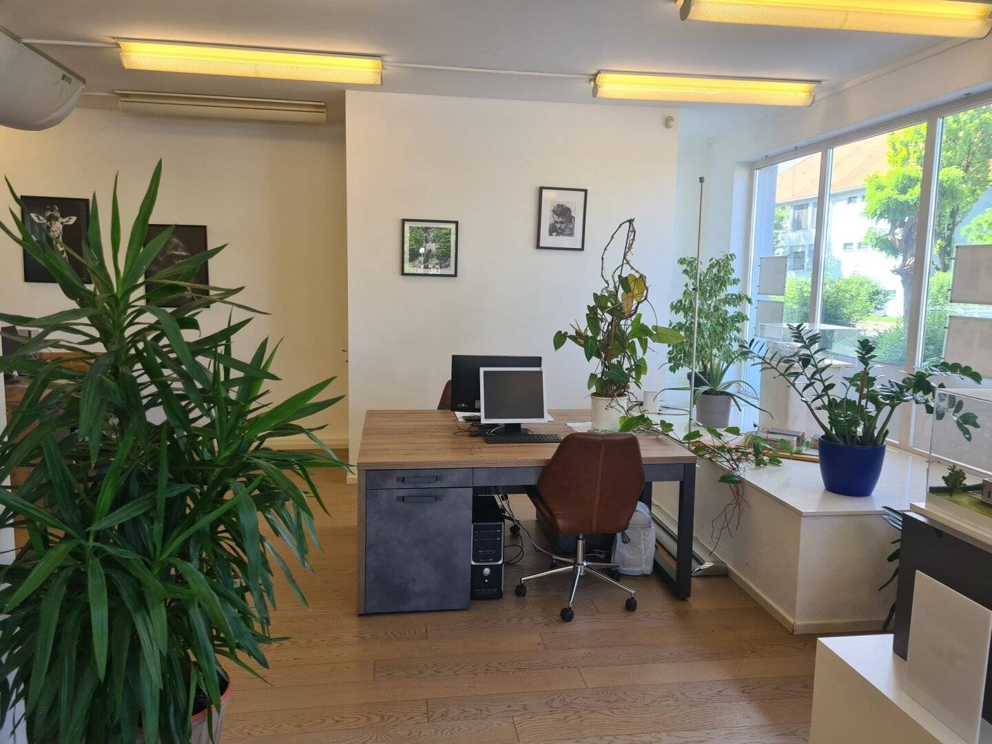 Shared office / Workstations