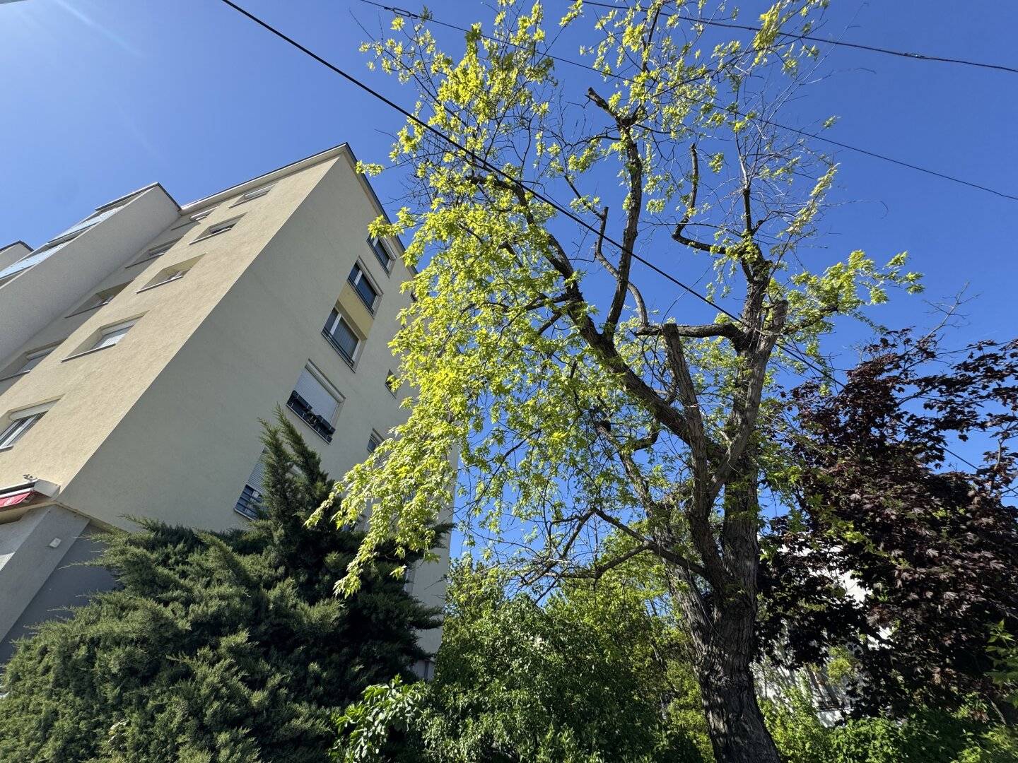 Wonderful apartment in a good Hietzing location