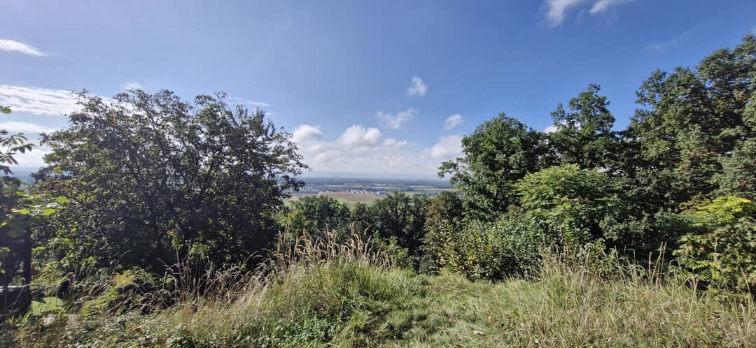 Wohnen mit Weitblick – Sechterberg 85, Feldkirchen an der Donau