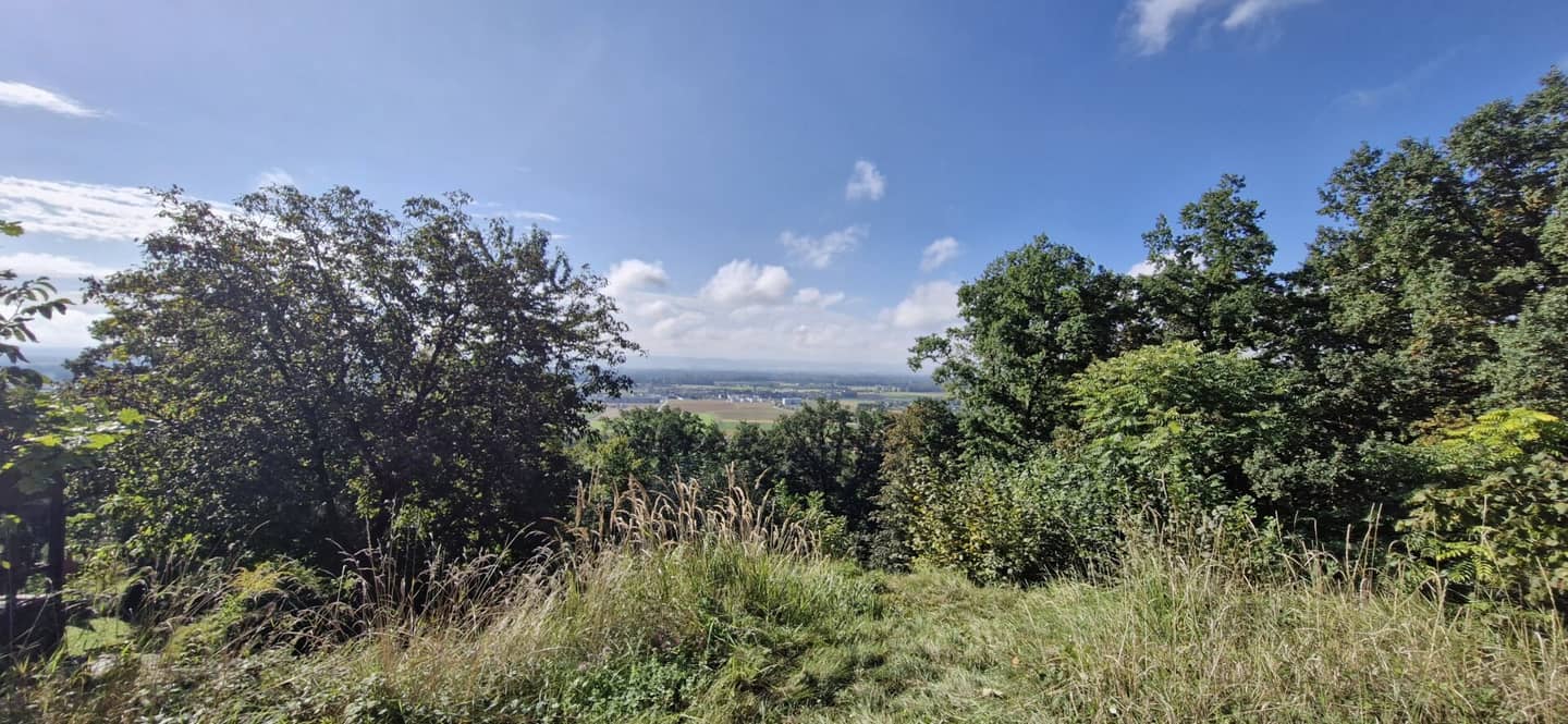 Living with a wide view – Sechterberg 85, Feldkirchen an der Donau