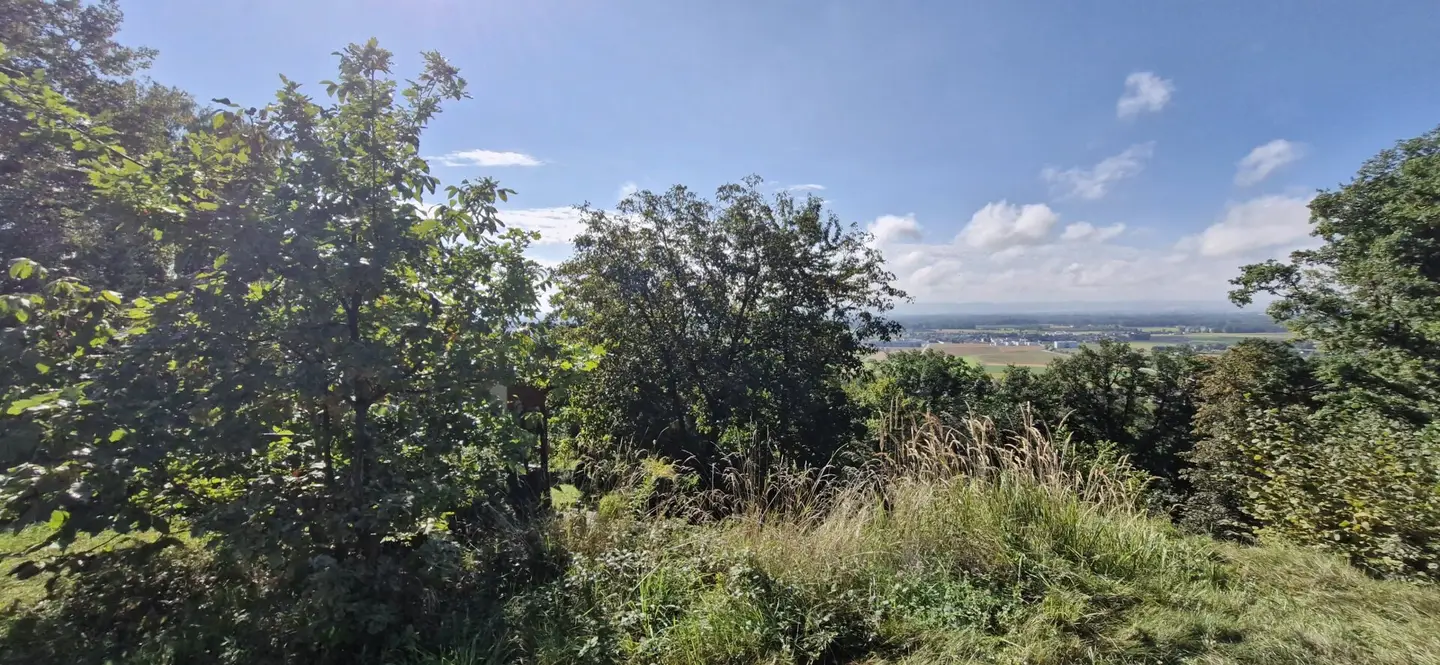 Wohnen mit Weitblick – Sechterberg 85, Feldkirchen an der Donau