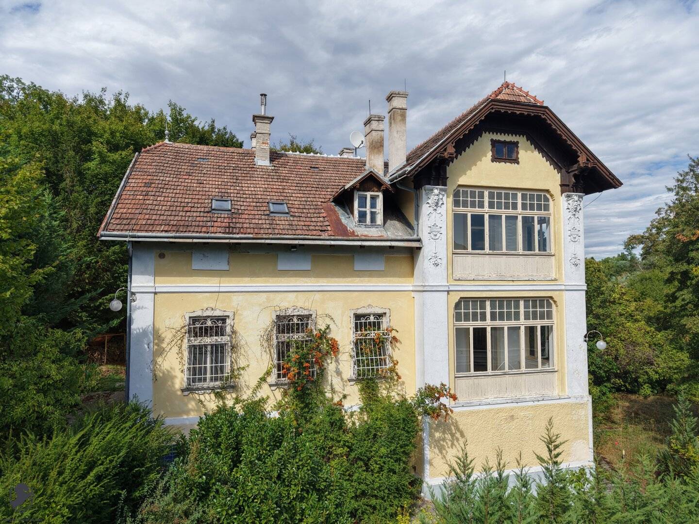 Villa with History and Future Hinterbrühl near Vienna