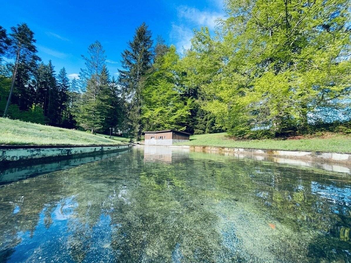 Wo Träume Wurzeln schlagen – Traumhaftes Anwesen zwischen See & Berg auf 3,45 Hektar!
