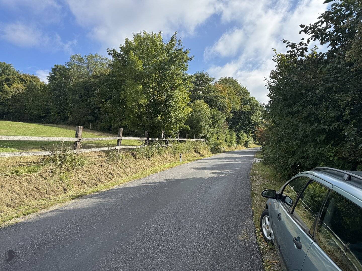 Einfamilienhaus mit großem Keller und traumhaftem Wald-Blick