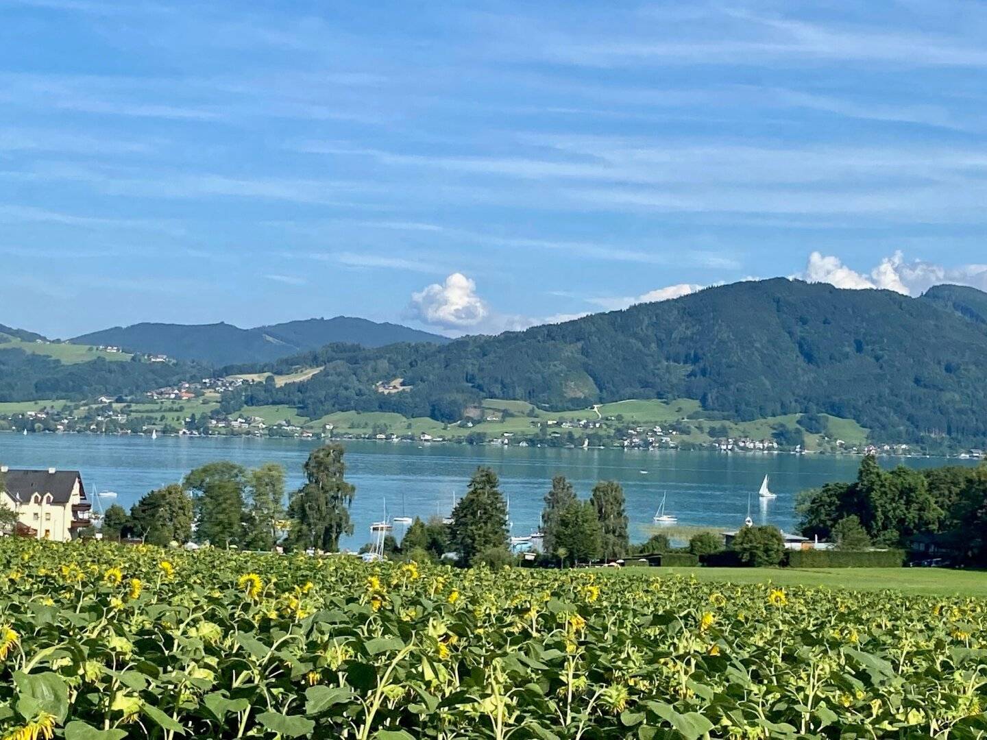 Baugrund in herrlicher Aussichtslage am Attersee mit Baugenehmigung 9 Wohnungen