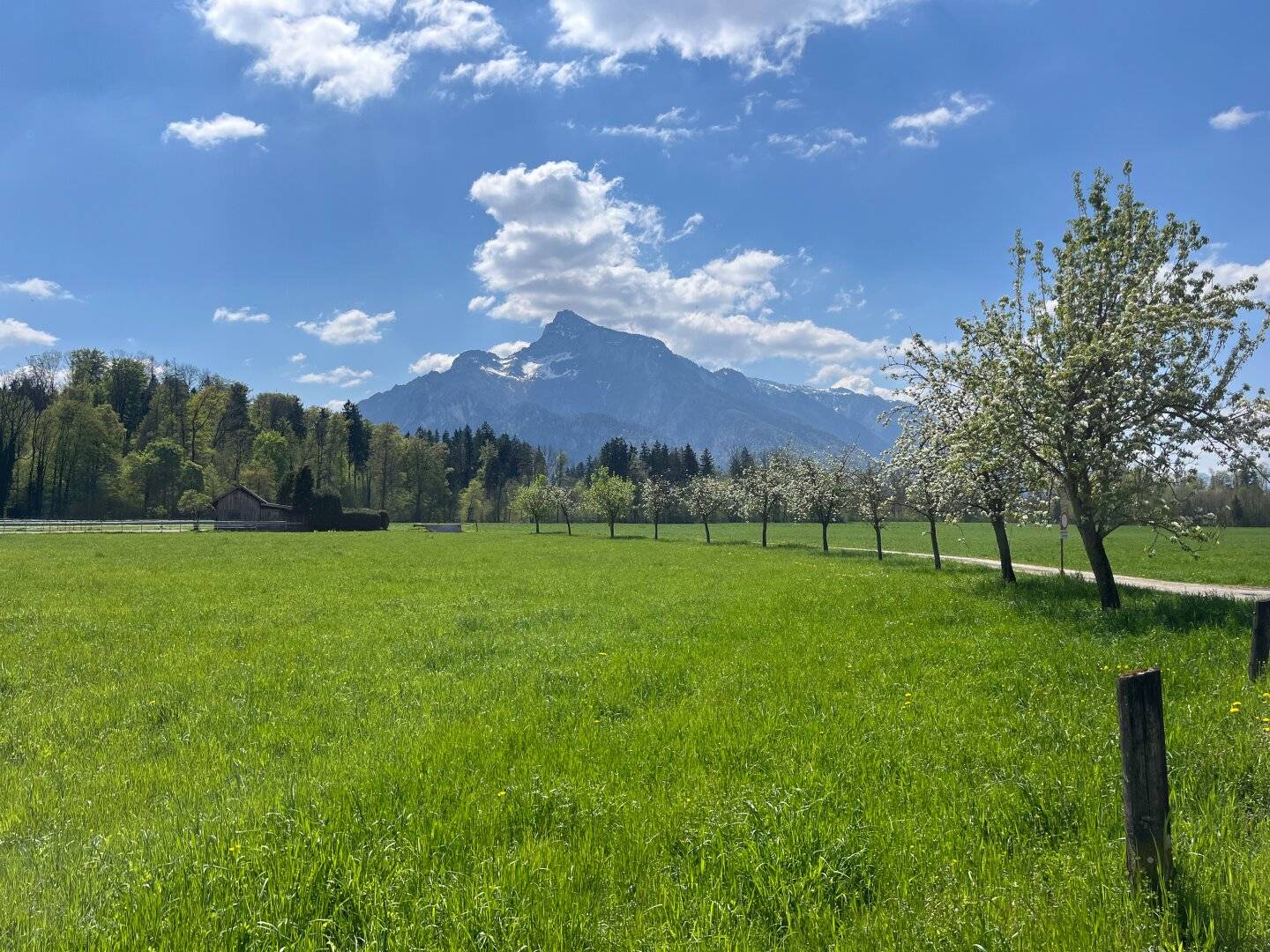 Der Ort für Ihr neues Zuhause... einmalige Traumlage in Salzburg - Morzg