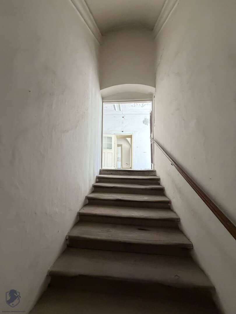 Spacious office and practice space with terrace in the heart of Tulln