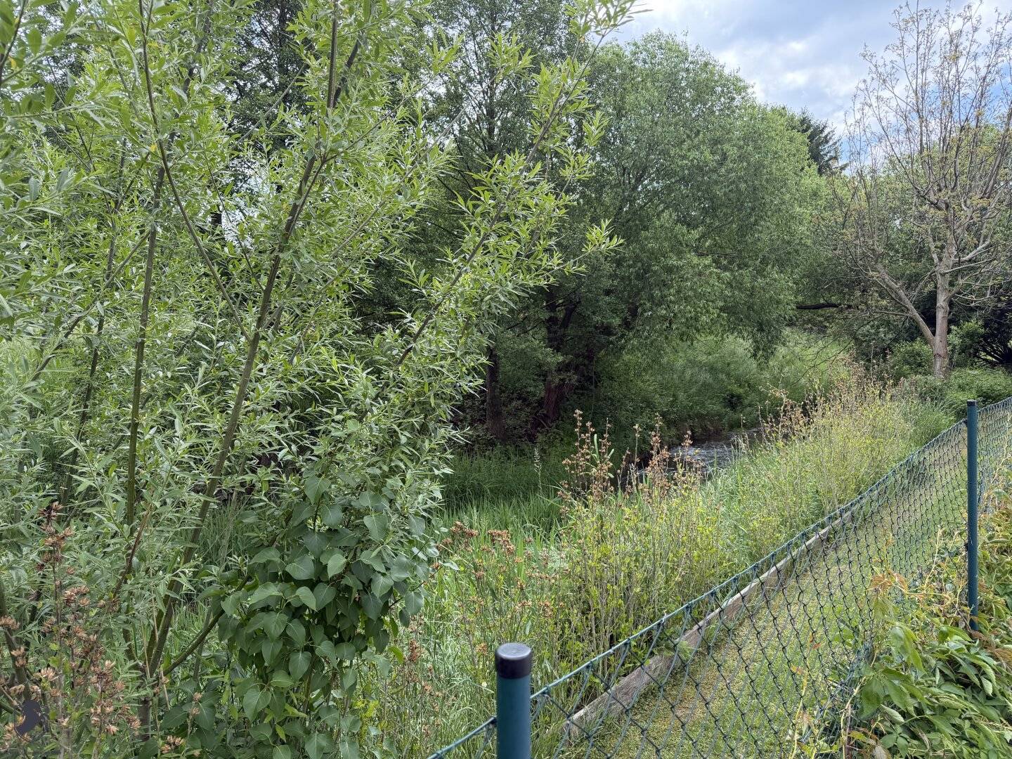 Charmantes Familienhaus mit Pool, Gartenhaus & Niedrigenergie-Aufstockung in ruhiger Lage