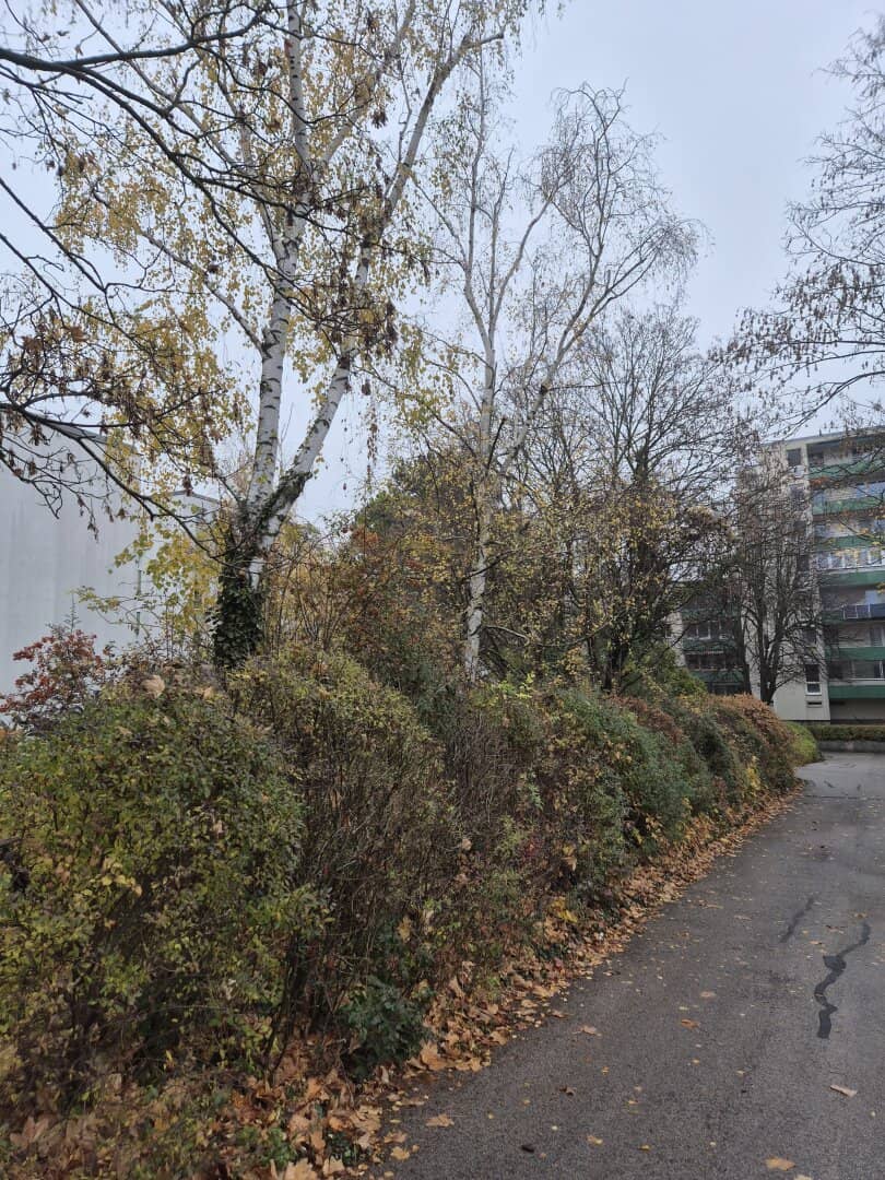 Grünruhelage! 3 Zimmerwohnung mit sehr guter öffentlicher Anbindung