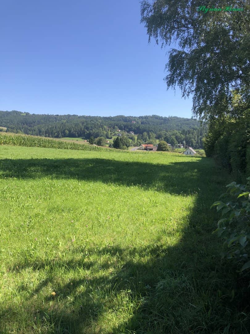 Building plot 800 m² all day sun top location in 8045 Weinitzen with Schöcklblick