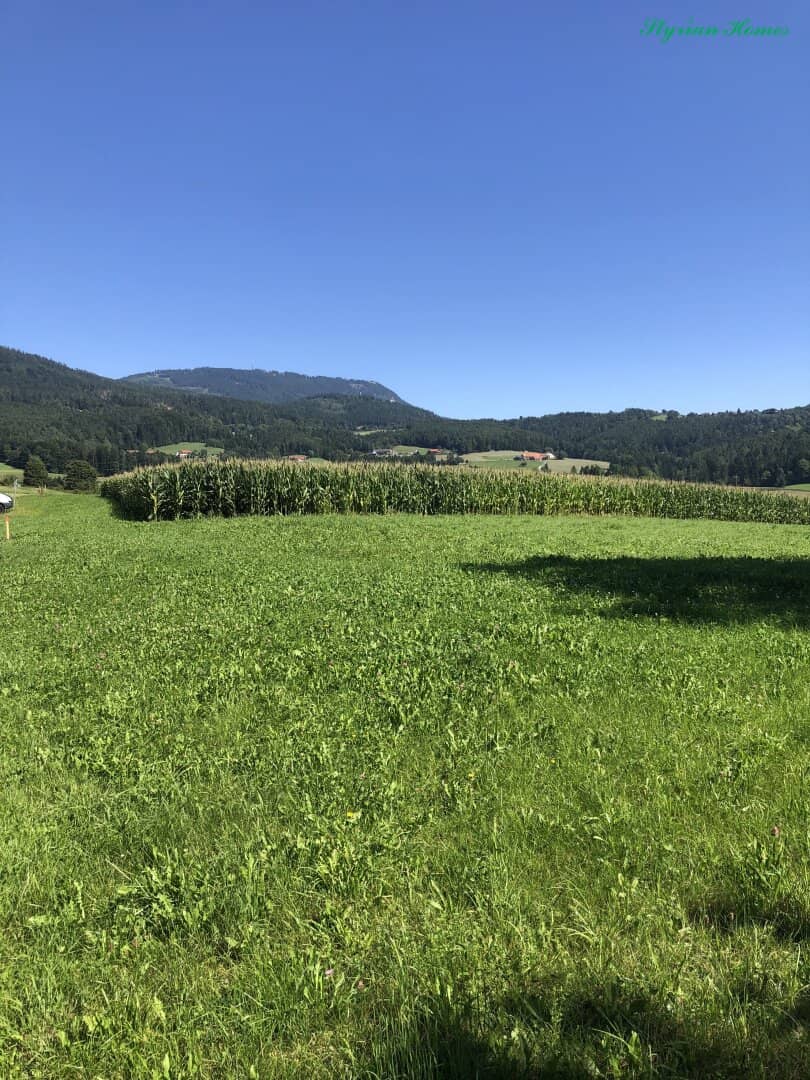 Building plot 800 m² all day sun top location in 8045 Weinitzen with Schöcklblick