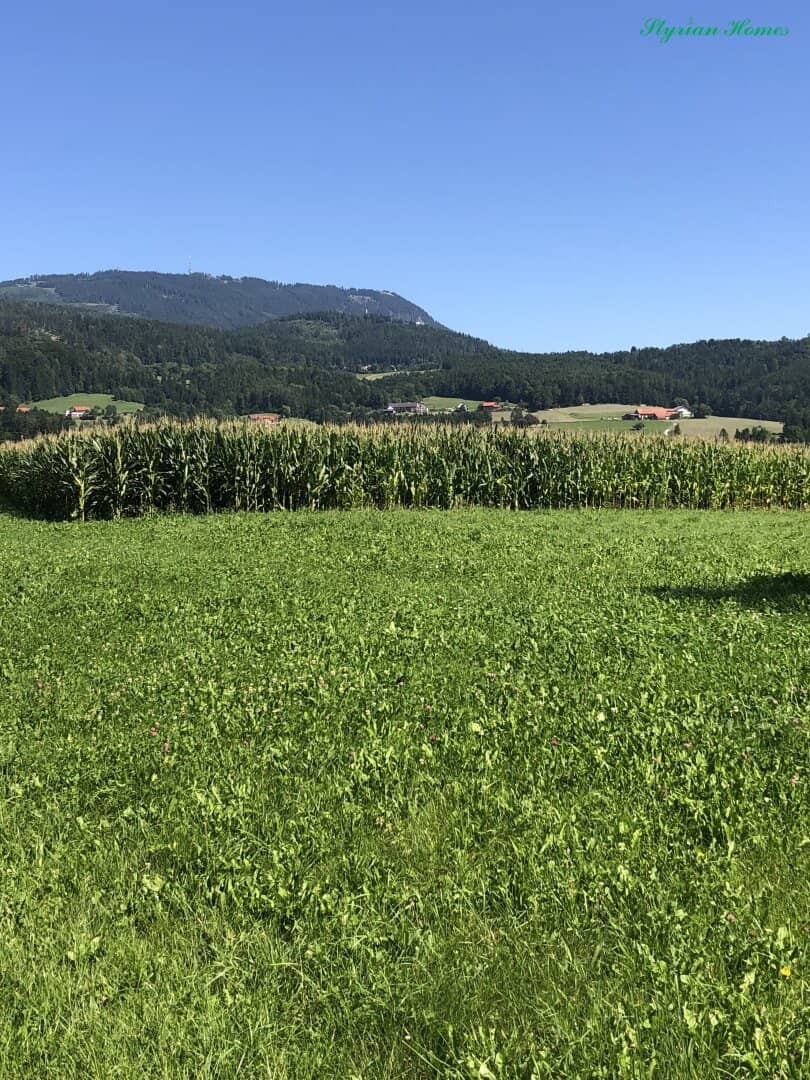 Building plot 800 m² all day sun top location in 8045 Weinitzen with Schöcklblick