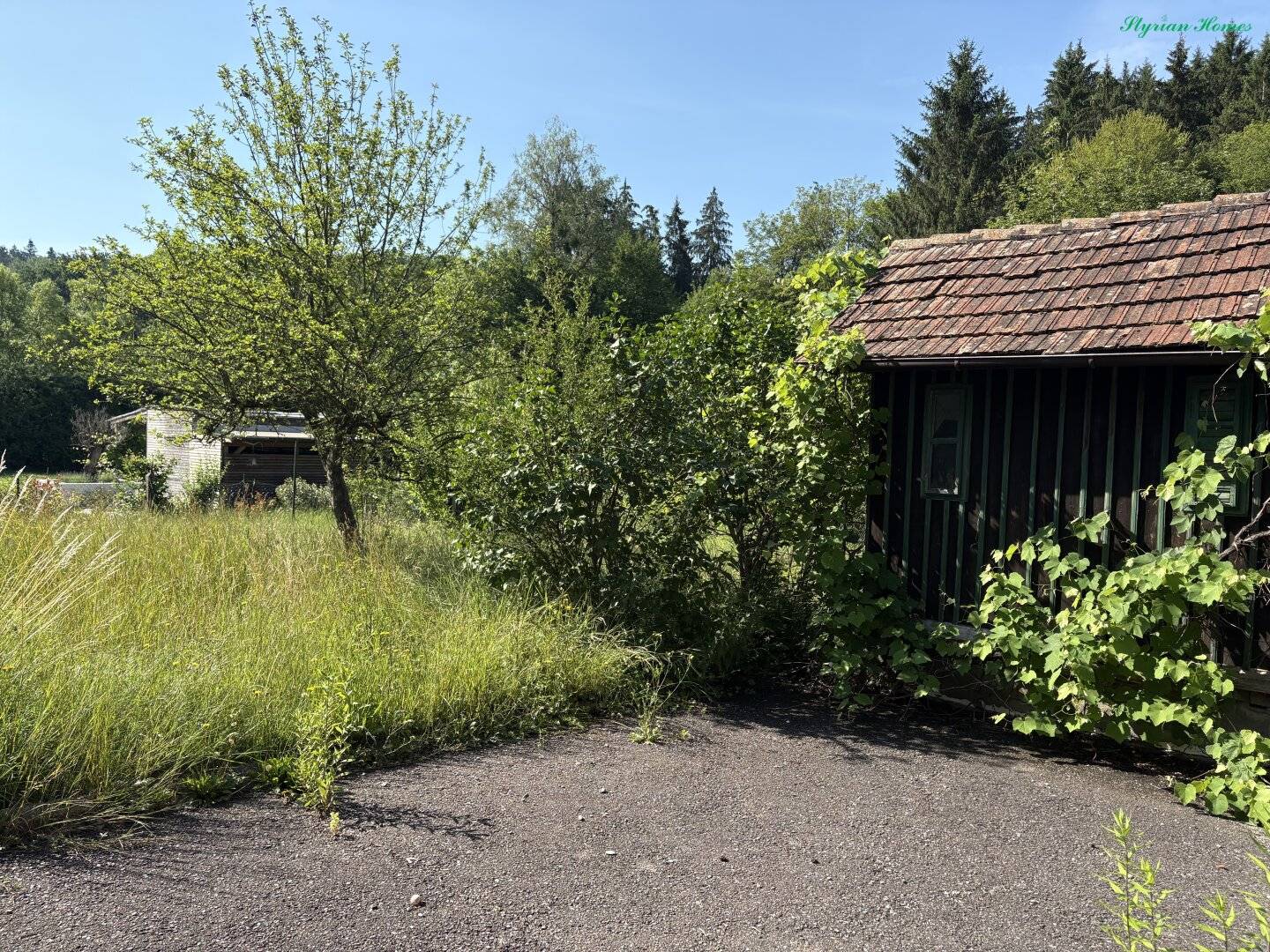 Single-family house 100 m² living space on a 1812 m² plot in the green 8044 Mariatrost