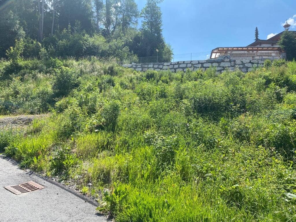 *Traum* Grundstück für Ihr Eigenheim in sonniger Aussichts-Lage am Wattenberg