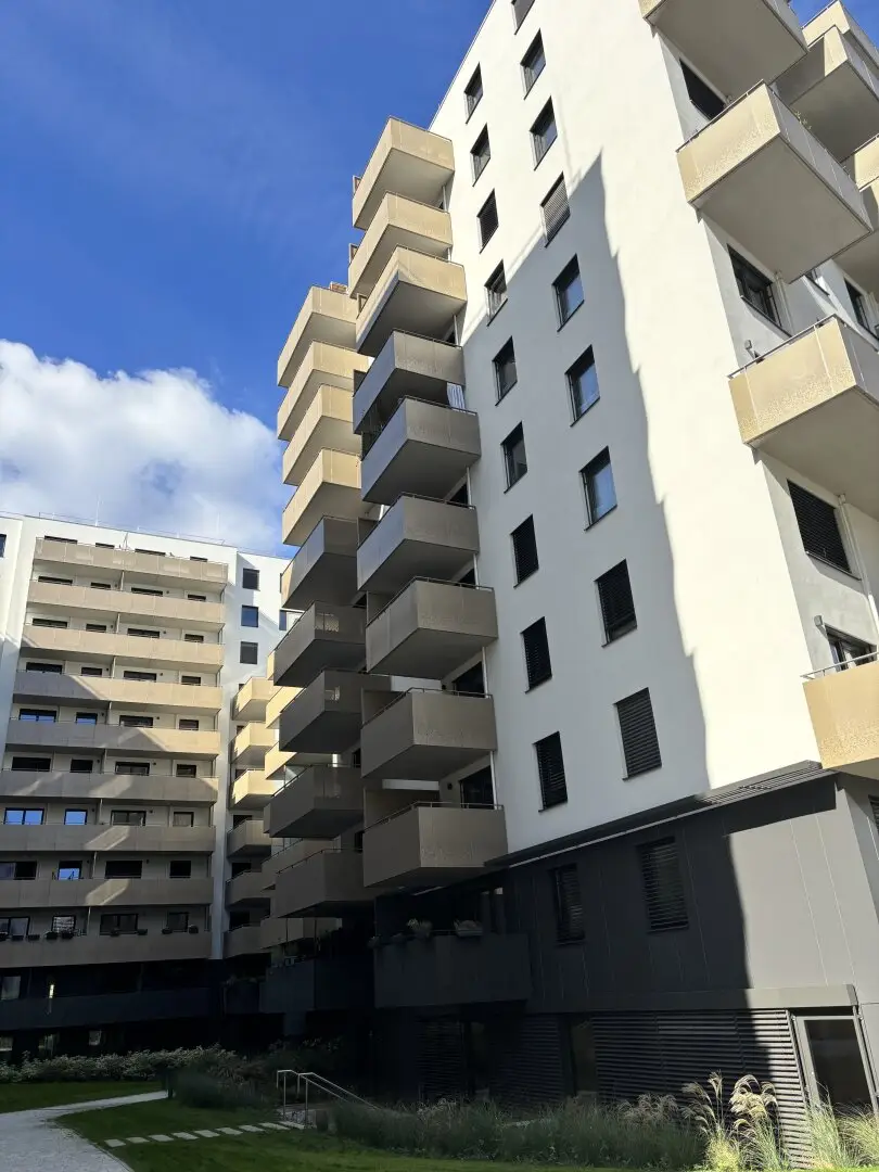Leben im Grünen – mitten in der Stadt | PARK HOMES im Village im Dritten