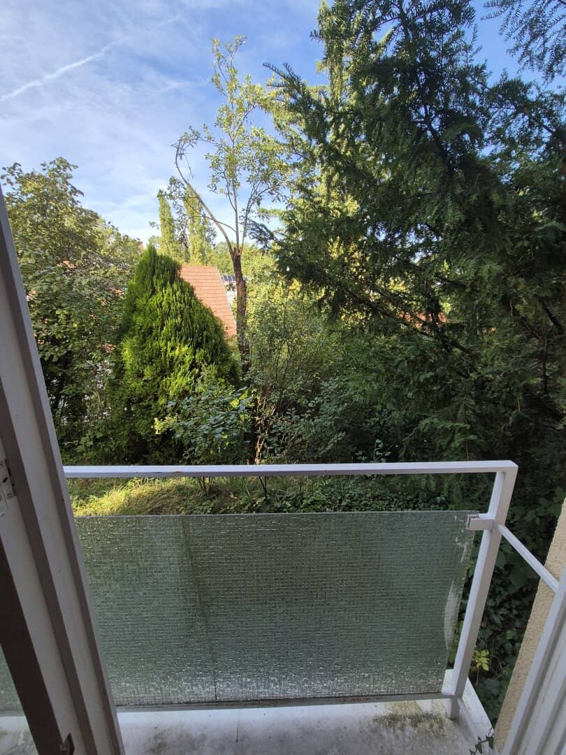 Quietly located two room apartment near the Lainzer Tiergarten