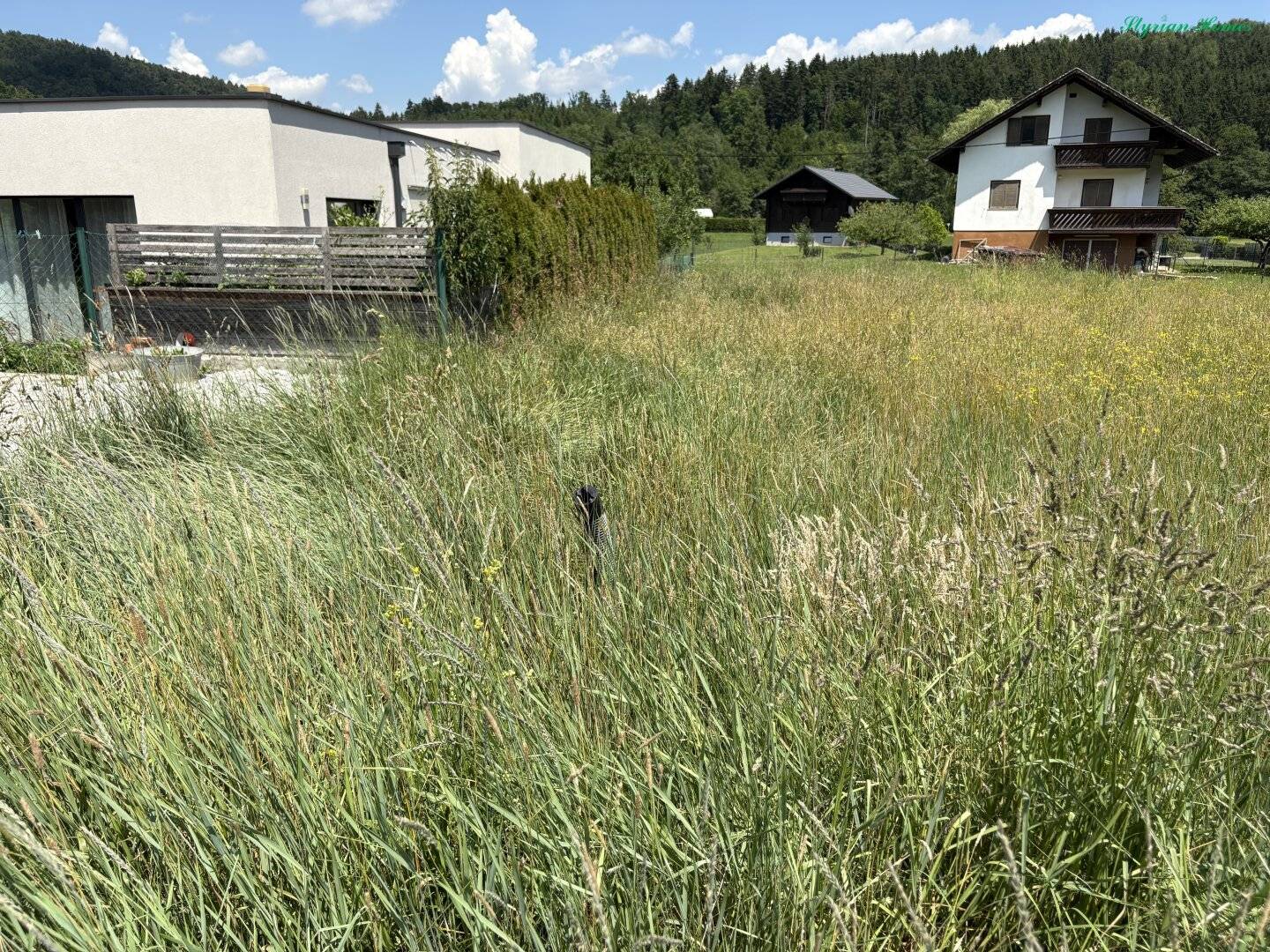 Building plot 763 m² level, sunny, open, top location 8103 Eisbach-Schirning