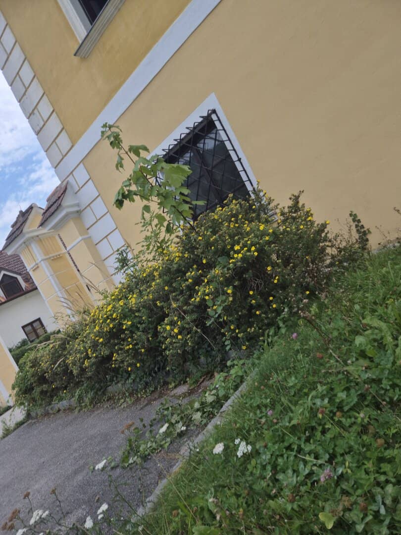 Sehr gute Rendite bei Vollvermietung! Zinshaus mit 27 Einheiten in guter Lage