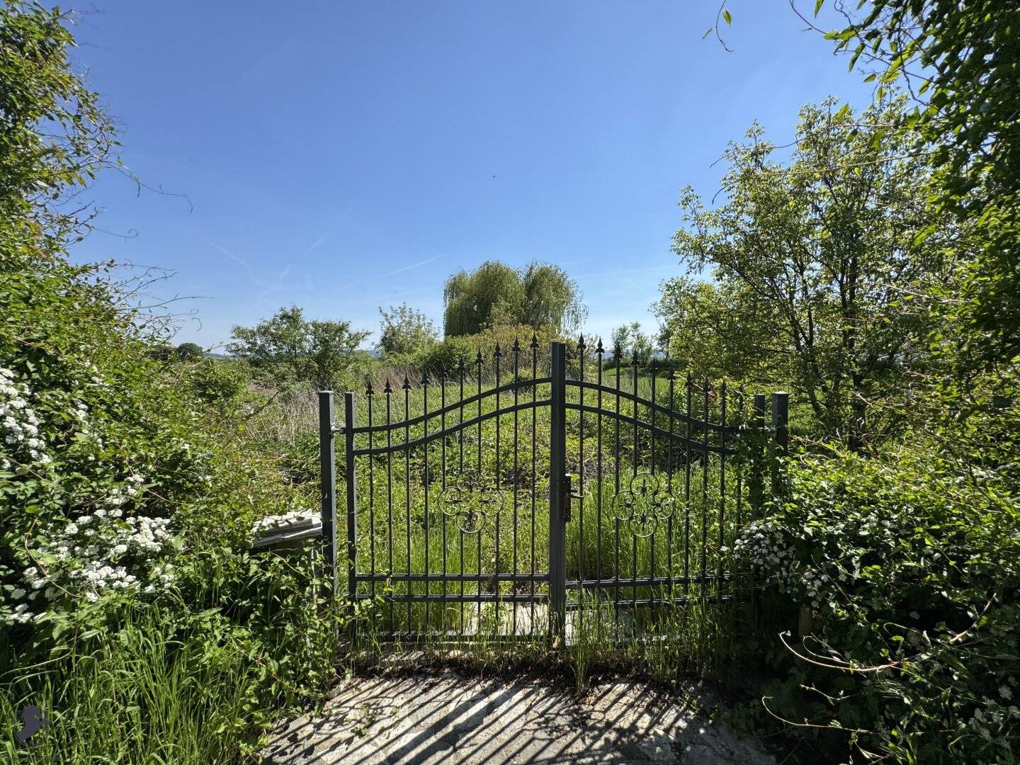 Außergewöhnliches Einfamilienhaus mit zwei Wohneinheiten, Garten und Gästehaus – am Ortsrand im Grünen und dennoch stadtnah