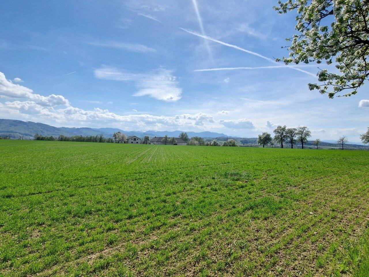 Immobilienbild 2