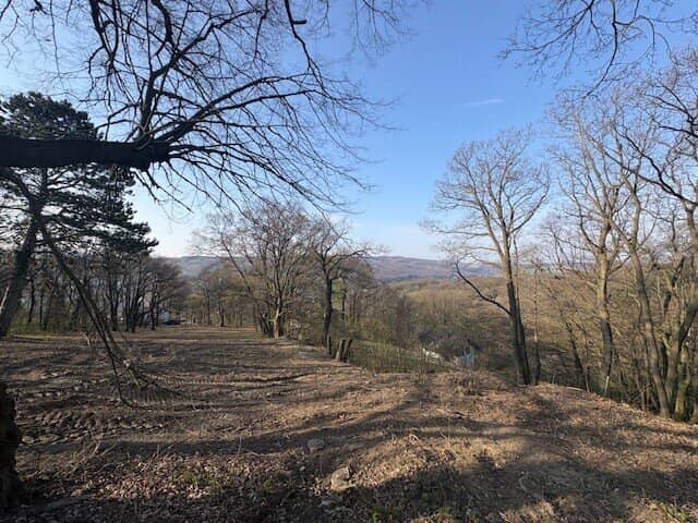 Exklusives Baugrundstück am Ölberg in Klosterneuburg – sonnige Hanglage mit spektakulärem Fernblick und altem Baumbestand
