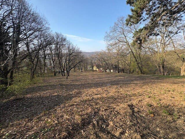 Exklusives Baugrundstück am Ölberg in Klosterneuburg – sonnige Hanglage mit spektakulärem Fernblick und altem Baumbestand