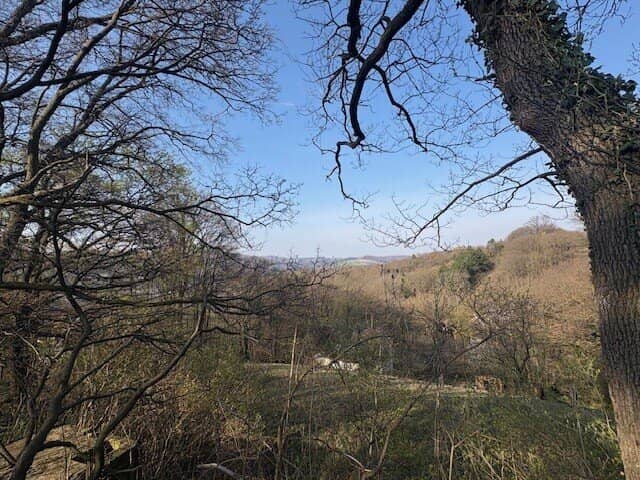 Exklusives Baugrundstück am Ölberg in Klosterneuburg – sonnige Hanglage mit spektakulärem Fernblick und altem Baumbestand